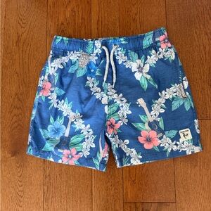 The Endless Summer Swim Shorts